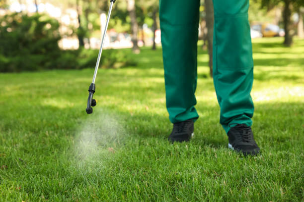 Best Local Pest Control Services  in Okanogan, WA