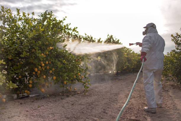 Best Best Pest Control Companies  in Okanogan, WA