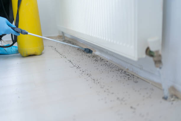 Best Best Pest Control Companies  in Okanogan, WA